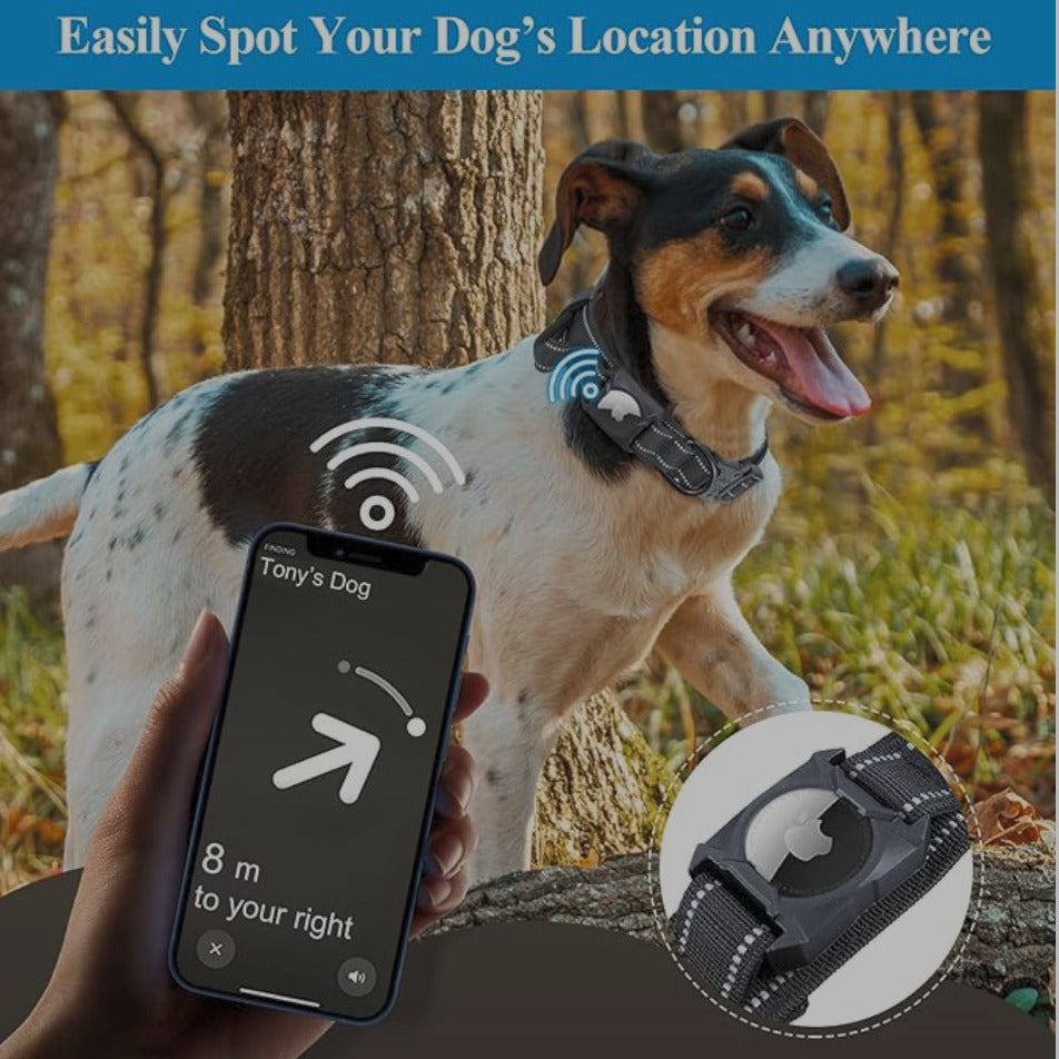 PawHaven™ -Dog Collar with AirTag Holder